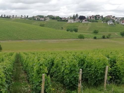 Au Pied des Vignes à Sancerre