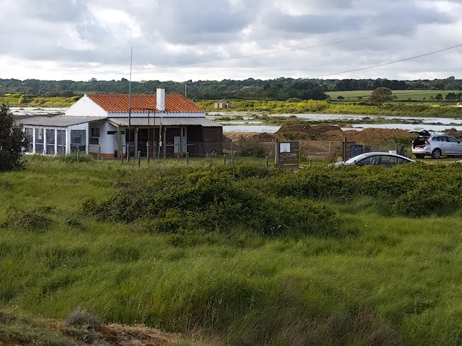 Camping Les Dunes à Talmont-Saint-Hilaire