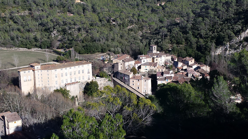Olivette à Entrecasteaux