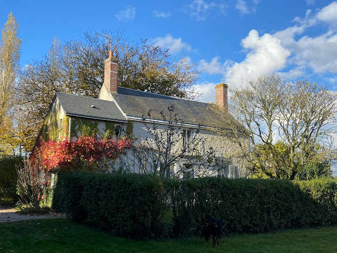 Le Colombier à Concriers