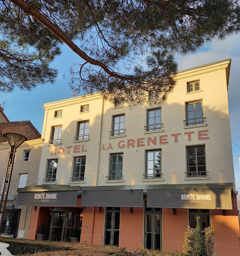 Hôtel La Grenette à Roanne