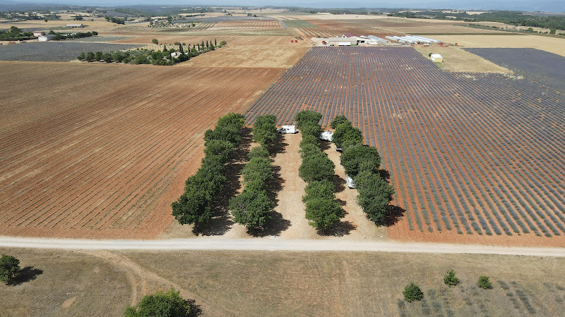 Aire de camping car Valensole à Valensole