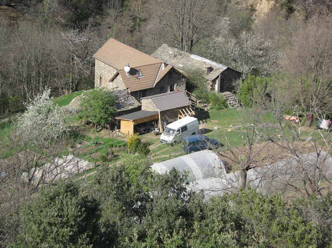 Saveurs Sauvages des Cévennes à Saint-Privat-de-Vallongue