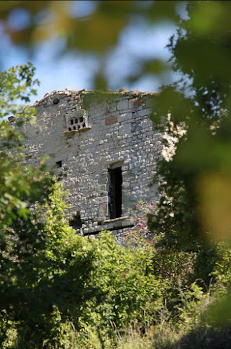 Ancienne Bergerie Du Luc à Vesc