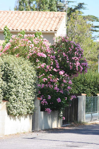 Gite Ville de Florensac à Florensac