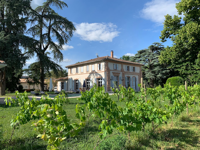 Domaine De La Terrasse à Lacourt-Saint-Pierre
