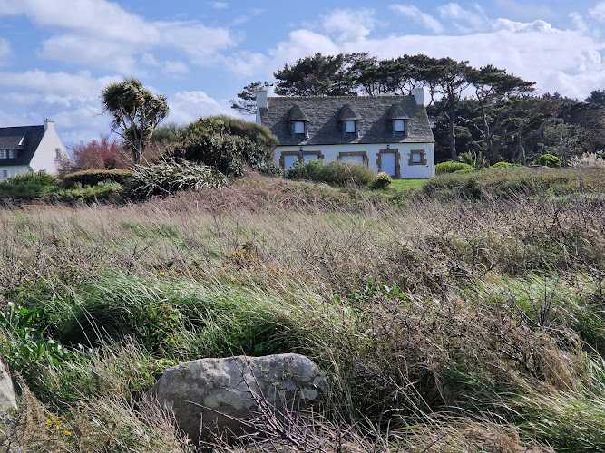 L île grande à Pleumeur-Bodou
