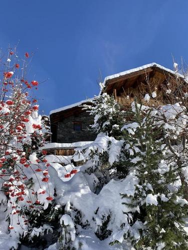 Du Praz - La Petite Ourse à Sainte Foy Tarentaise
