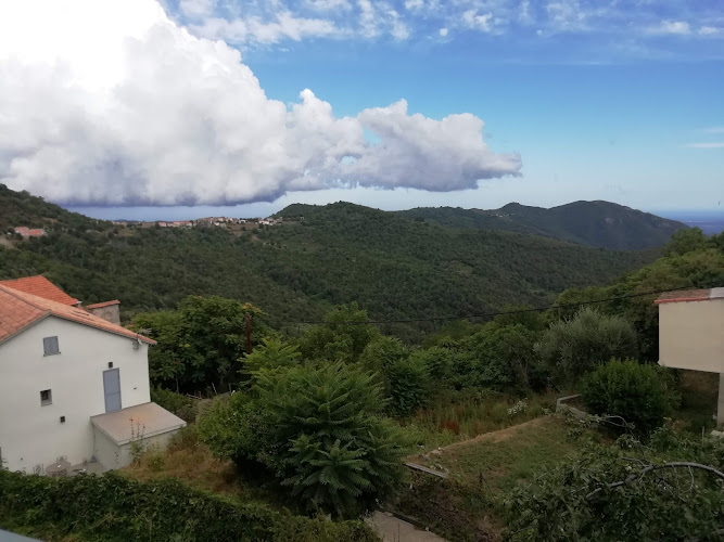 Piedicorte-di-Gaggio à Piedicorte-di-Gaggio