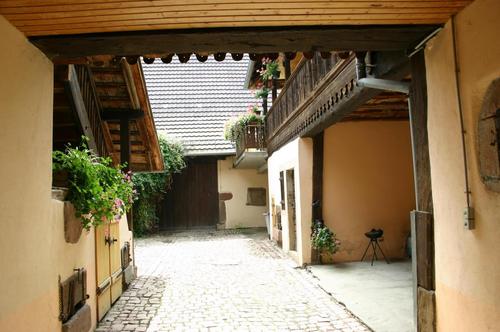 Le Gewurztraminer de Théodore à Pfaffenheim