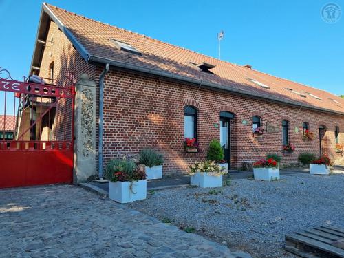 Les bleuets à Comines