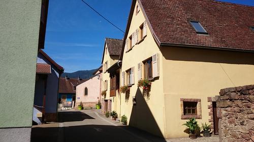 Bardane à Bernardvillé