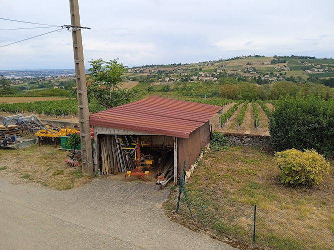 Domaine berger des vignes à Pommiers