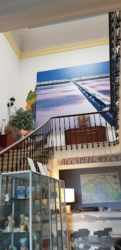 I.c. la Camargue à Arles