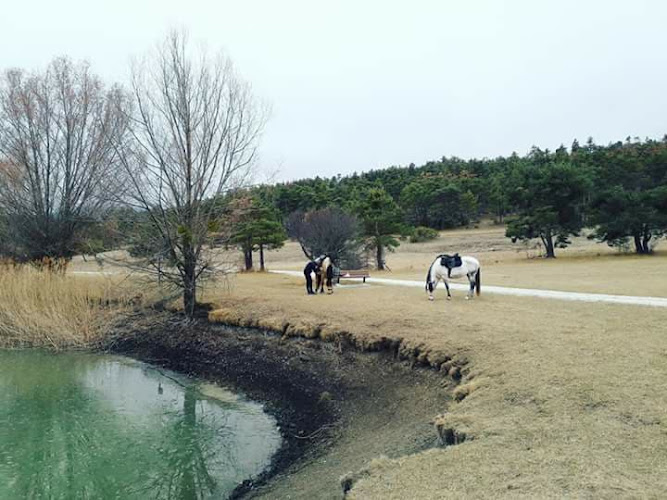 Equestrian Center La Grande Bastide à Peyroules