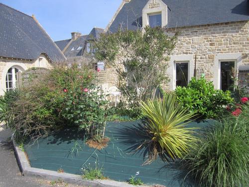 Genets à Plouhinec