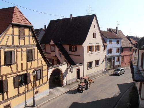 Gîte de l'ours blanc- Le Grand Cru de Sophie. à Dambach-la-ville