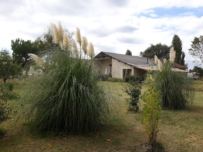 Domaine Rimbes à Casteljaloux