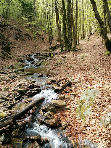Arnac-sur-Dourdou à Arnac-sur-Dourdou