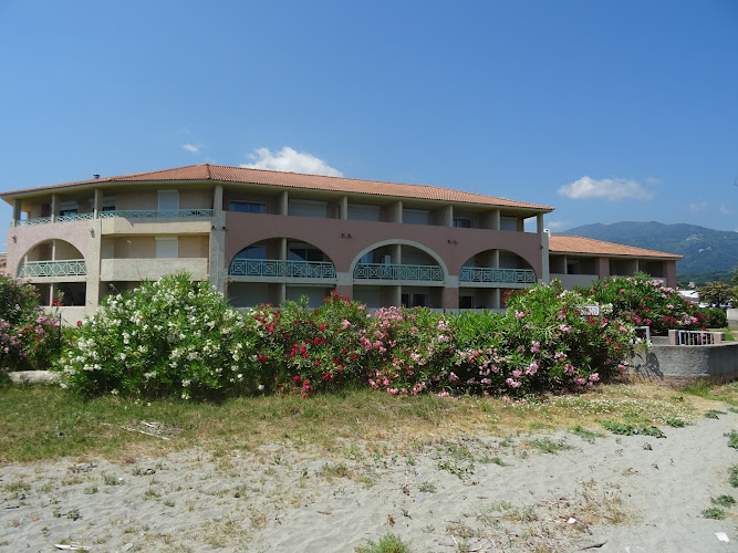 La Castagna à San-Nicolao