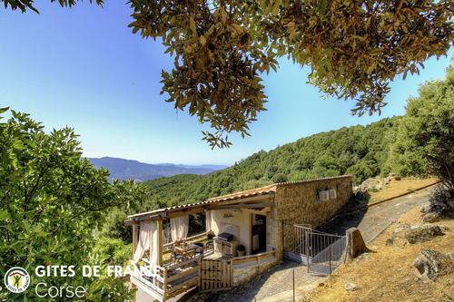 A stadda à Cognocoli Monticchi