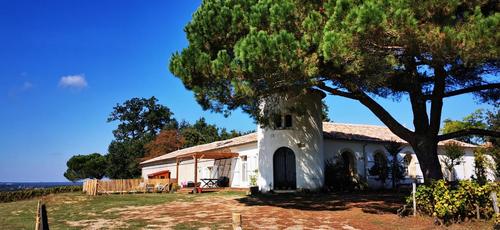 Le Castel de Lamothe à SAUTERNES
