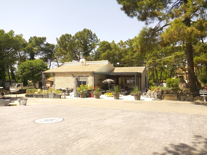 Camping la Pinéde en Provence à Mondragon