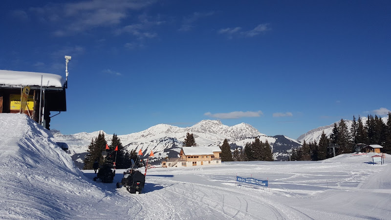 Chalet Le Starfu à Crest-Voland