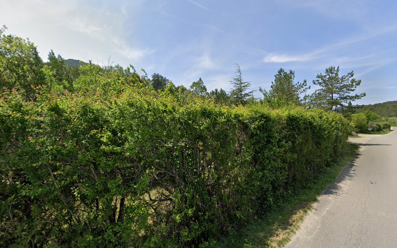 La savoillane