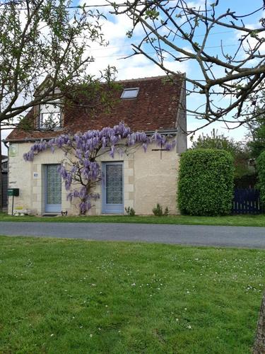 La Glycine à Luzille