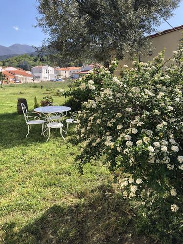 Les cueilleurs de cerises à Ceret