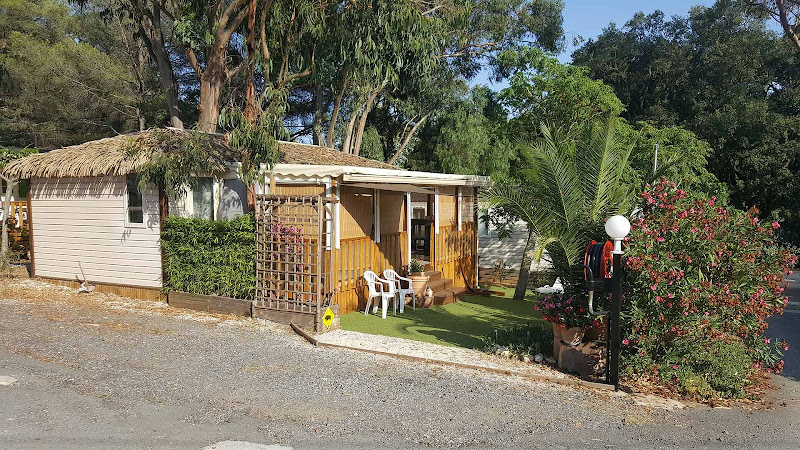 Camping Pabourette à La Londe-les-Maures