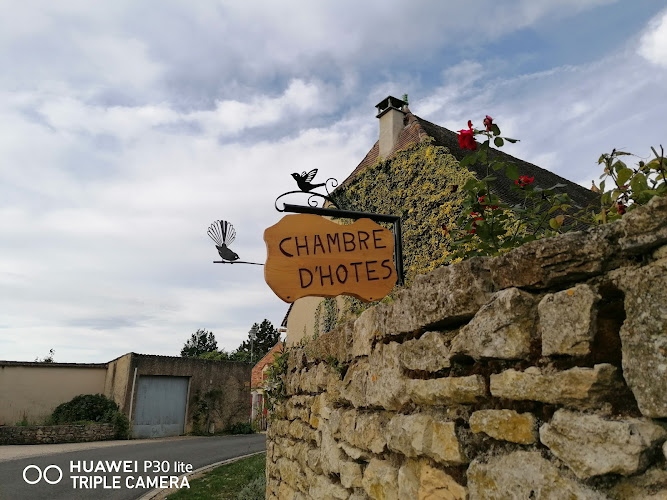 Les oiseaux à Uzech