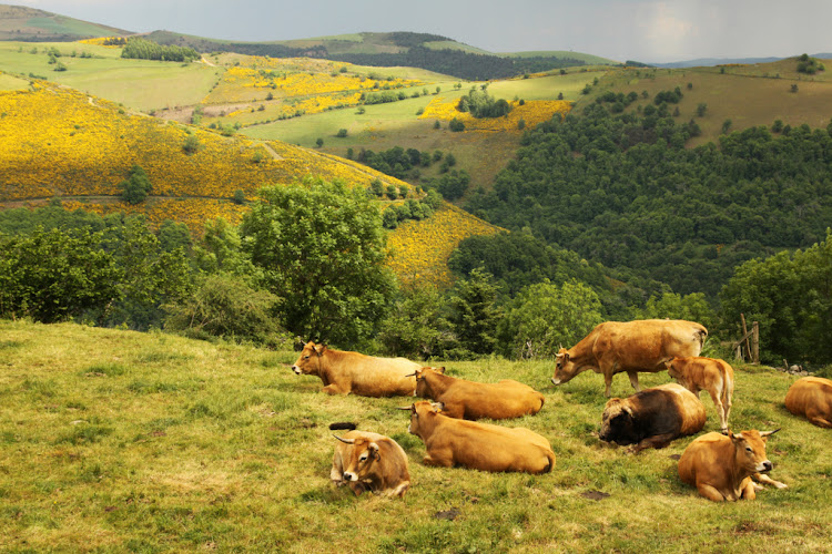 Aurelle-Verlac à St Geniez d'Olt et d'Aubrac