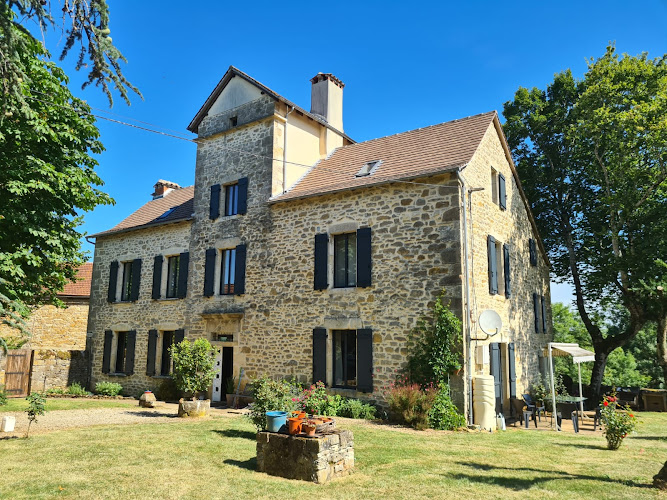 Le cèdre à Sainte-Croix