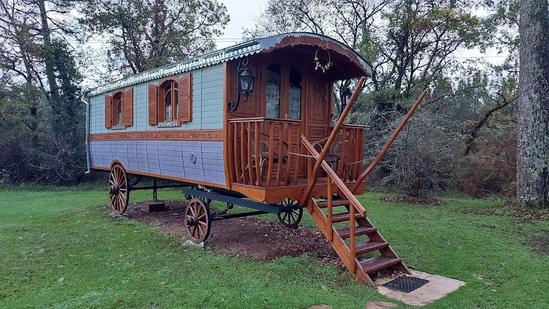 Au bois joli à Bussac-Forêt