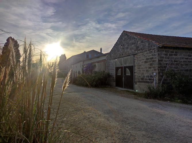 Mas Du Grand Peloux à Arles