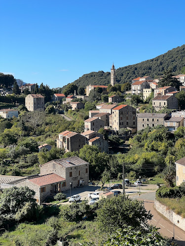 Levie à Levie