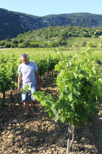 Winemakers Clos de l Abbé Dubois à Saint-Remèze