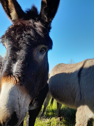 La ferme des Sensations à Puygaillard-de-Quercy