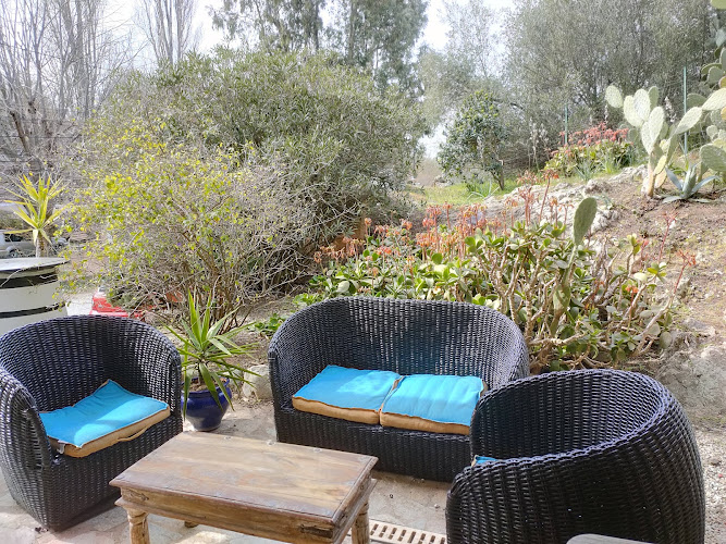 Auberge de Tesa hôtel restaurant à Occhiatana