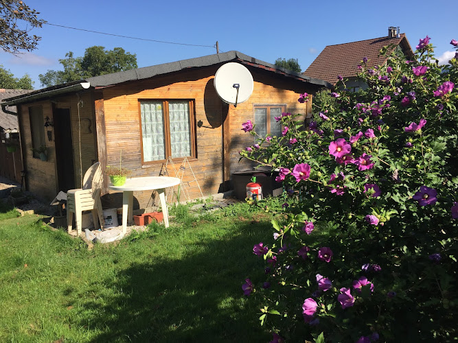 Signal Camping