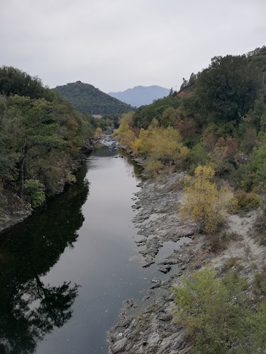 Pont de piedicorte Di gaggio à Piedicorte-di-Gaggio