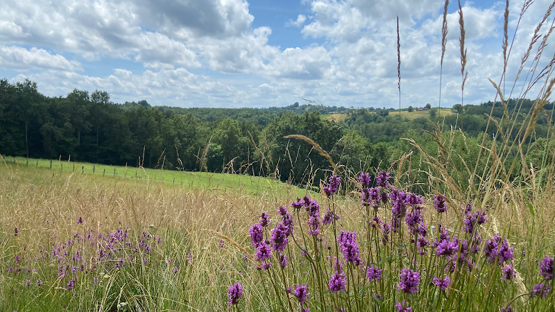 Gîtes Les Grant à Louignac
