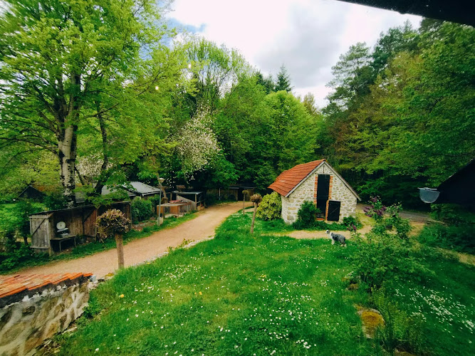 Domaine du Bois Kako à Liginiac