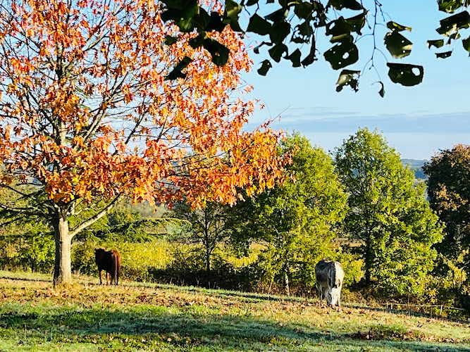 Gîte d étape de Naulet à Mourens