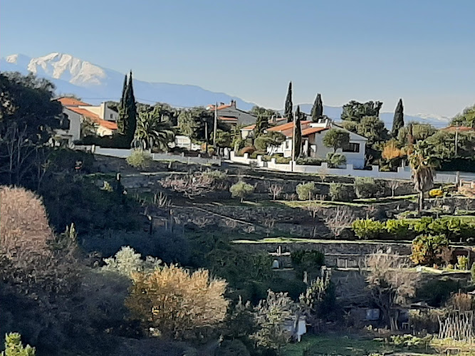 Laroque-des-Albères à Laroque-des-Albères