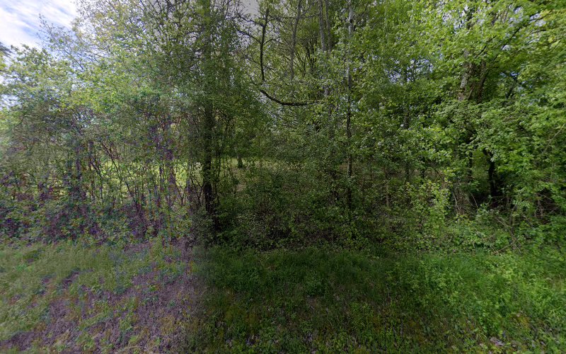 Les Grands Chênes à Montagudet