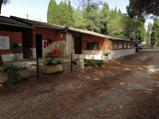 Camping Paluel à La Londe-les-Maures
