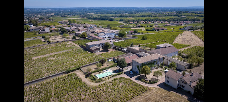 Domaine de la vigne à La Chapelle-de-Guinchay